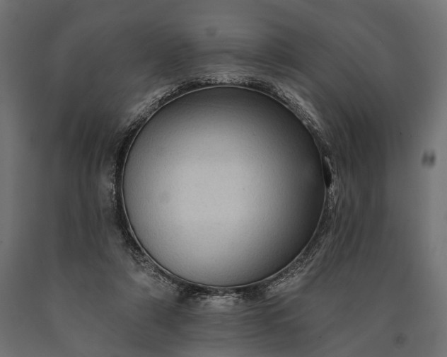 X0000090730306200708031529