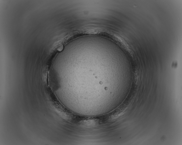 X0000090730307200708031529