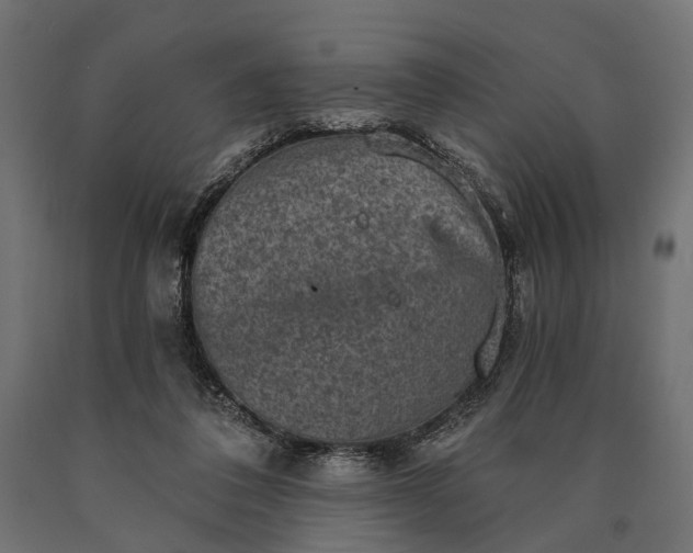 X0000090730308200708031529