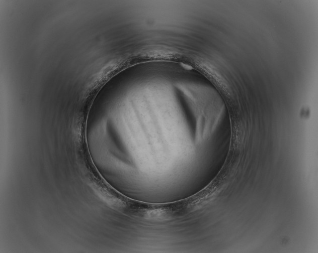 X0000090730309200708031529