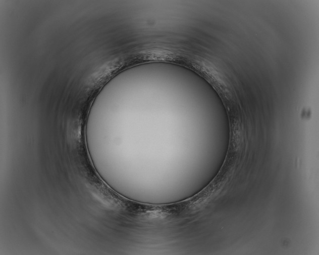 X0000090730310200708031529