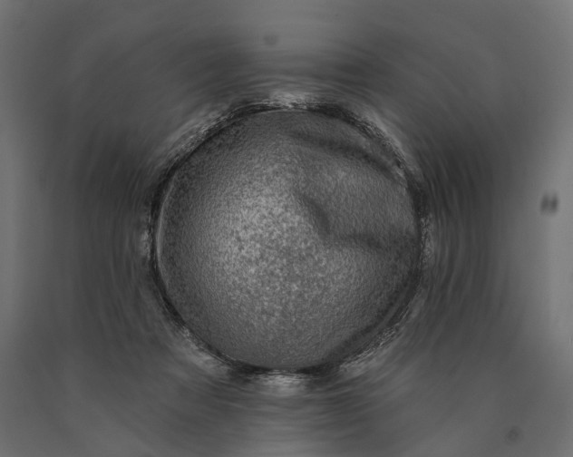 X0000090730313200708031529