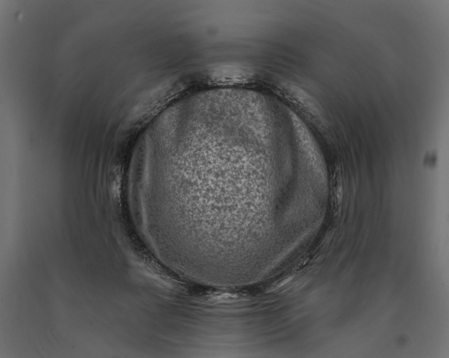 X0000090730315200708031529