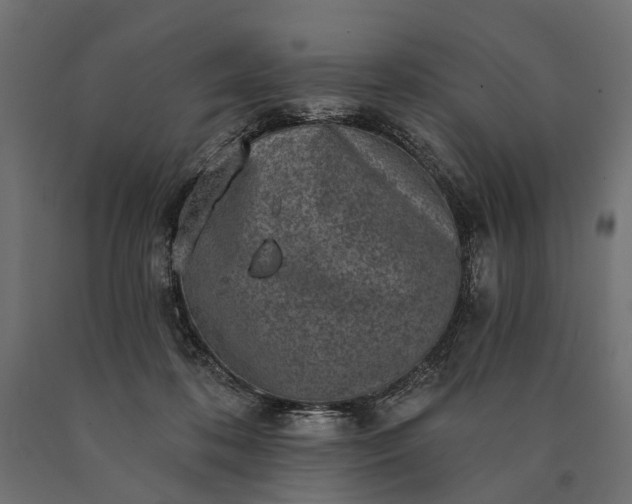 X0000090730316200708031529