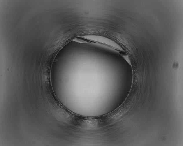 X0000090730317200708031529