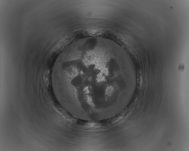 X0000090730319200708031529