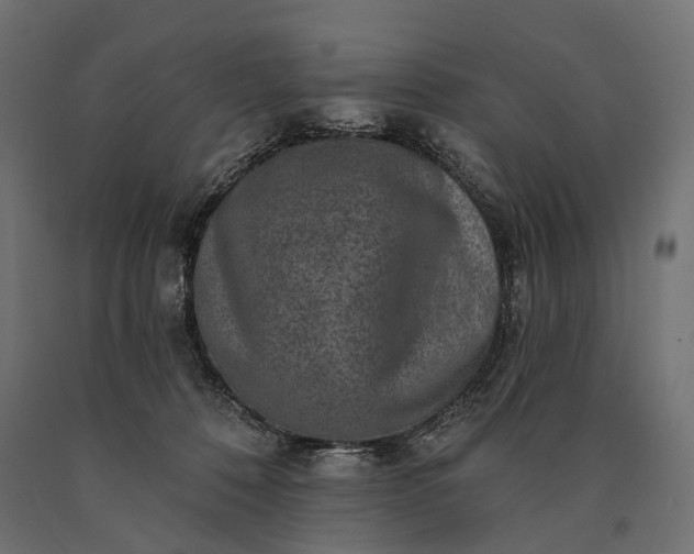 X0000090730320200708031529