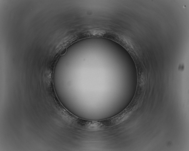 X0000090730321200708031529