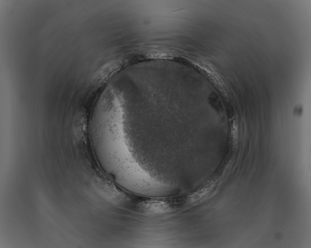 X0000090730322200708031529