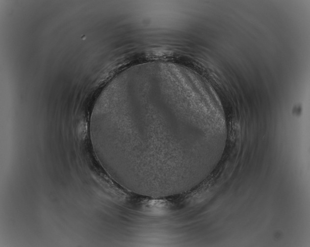 X0000090730324200708031529