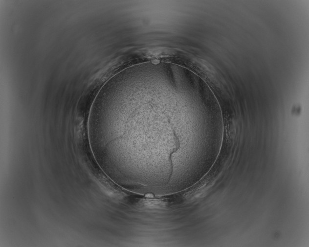 X0000090730327200708031529