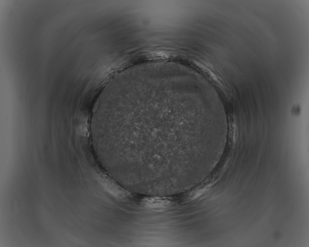 X0000090730331200708031529