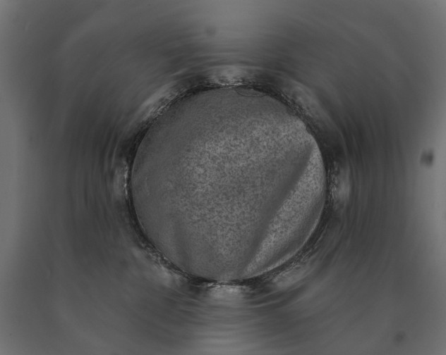 X0000090730332200708031529