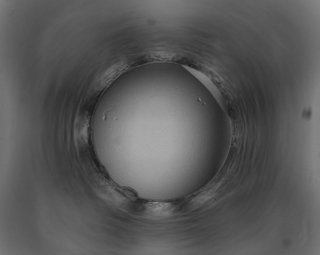 X0000090730334200708031529