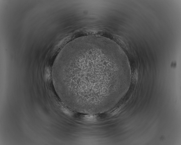 X0000090730335200708031529