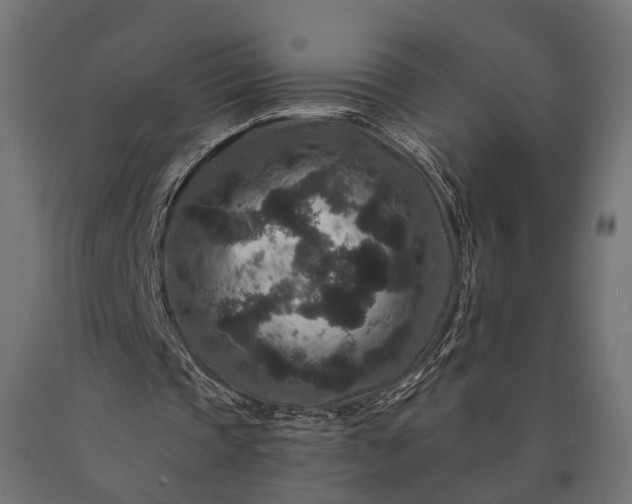 X0000090730337200708031528