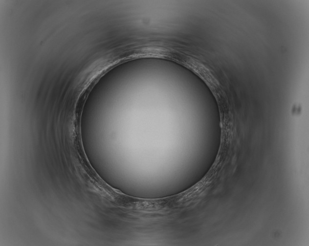 X0000090730338200708031528