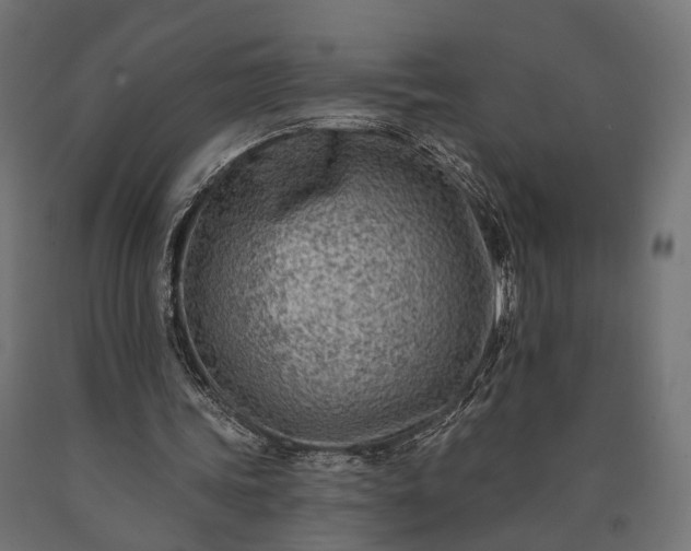 X0000090730339200708031528