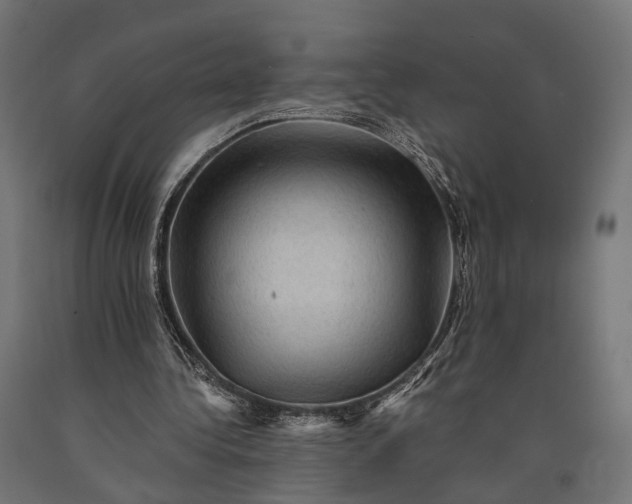 X0000090730340200708031528