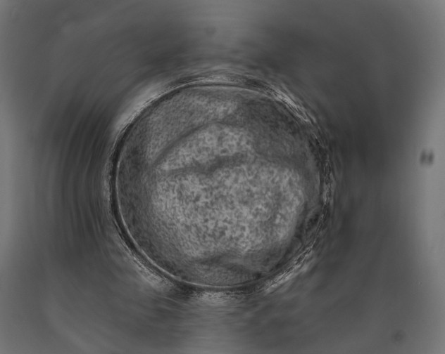 X0000090730341200708031528