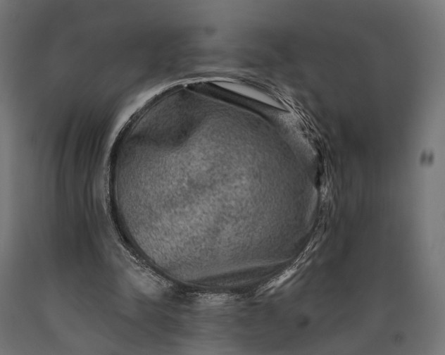 X0000090730342200708031528