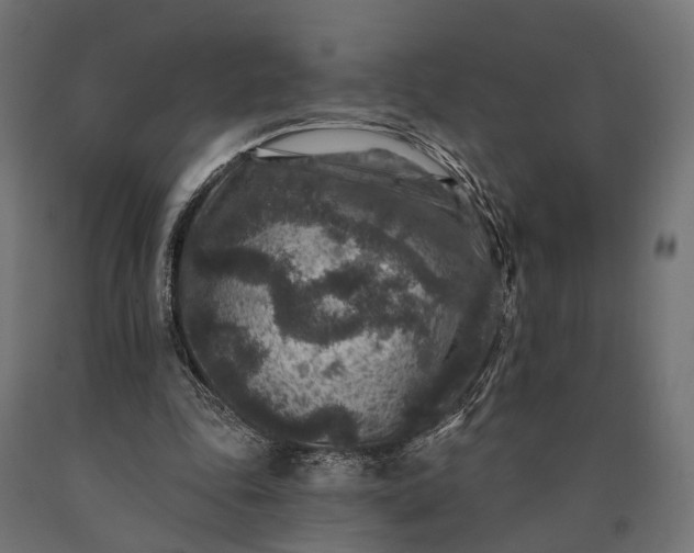 X0000090730343200708031528