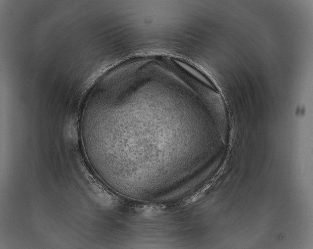 X0000090730345200708031528