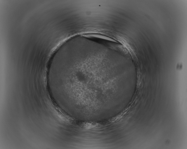 X0000090730346200708031528