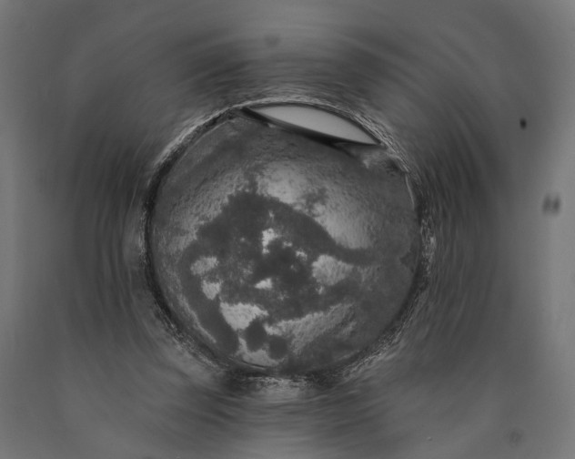 X0000090730347200708031528