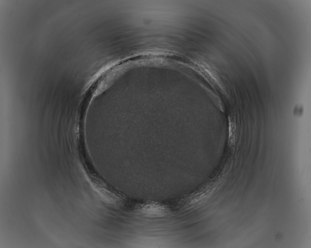 X0000090730348200708031528