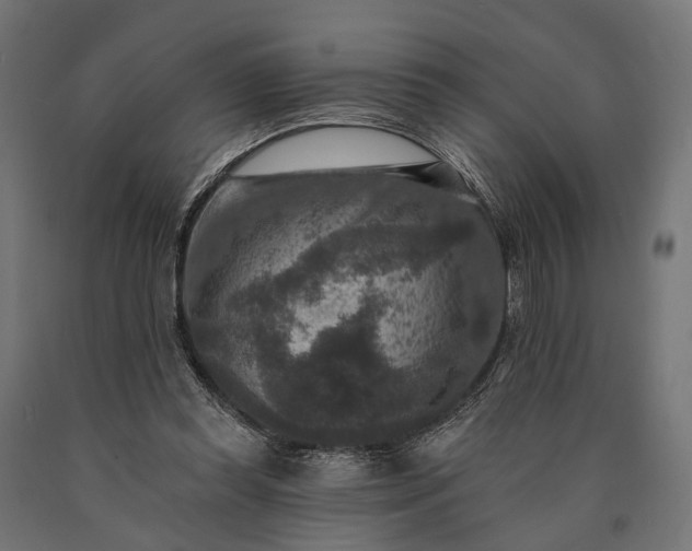 X0000090730349200708031528