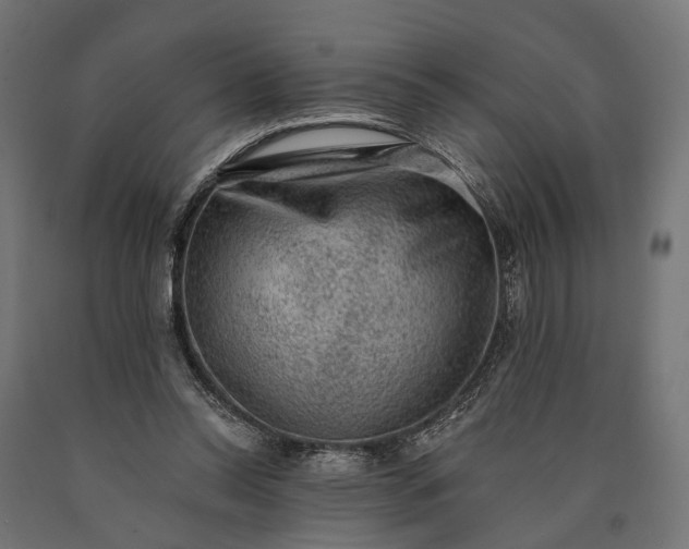 X0000090730350200708031528