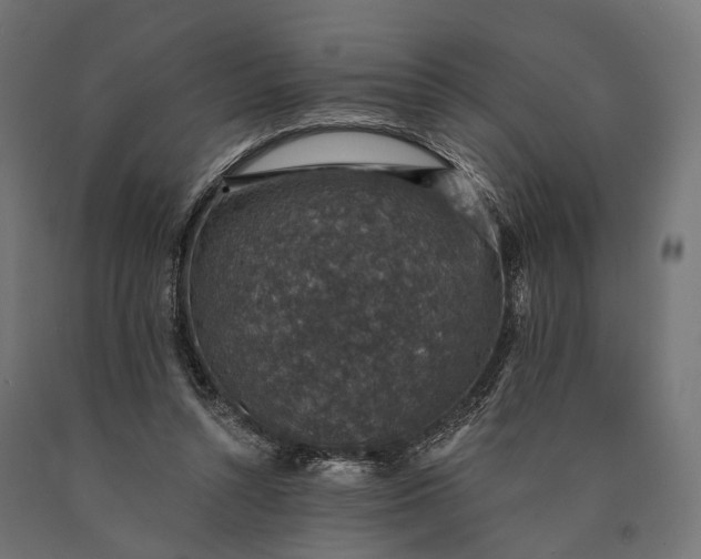 X0000090730352200708031528