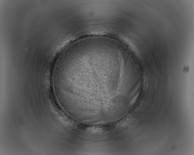 X0000090730354200708031528