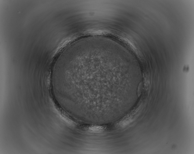 X0000090730357200708031528