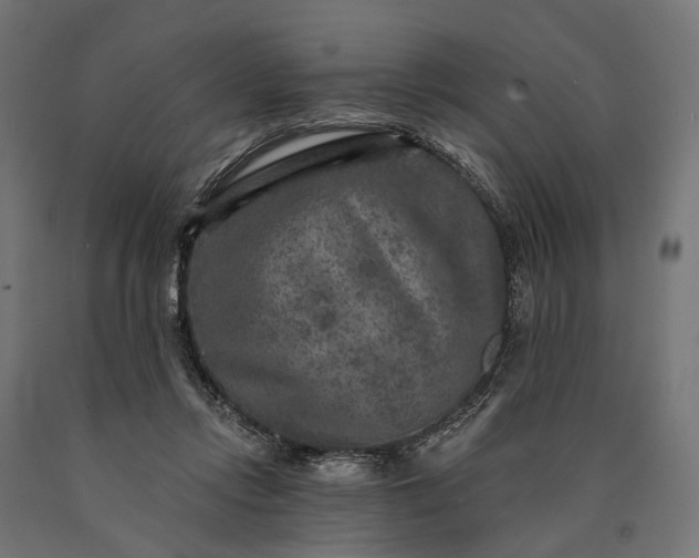 X0000090730358200708031528