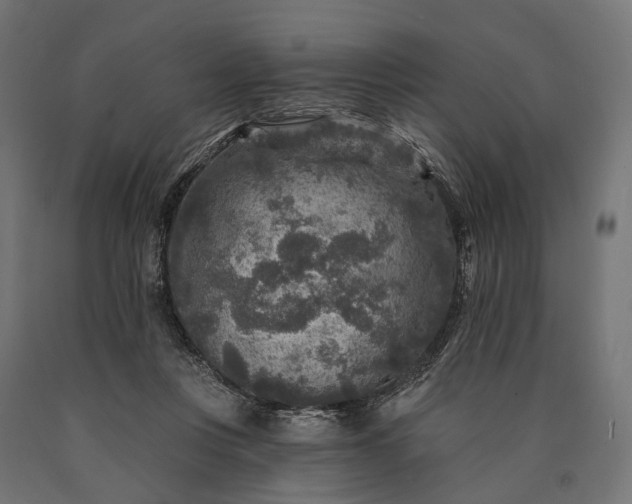 X0000090730359200708031528