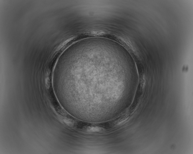 X0000090730360200708031528