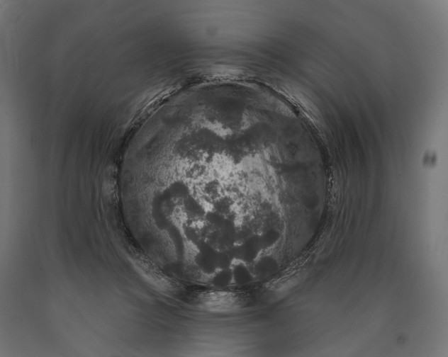 X0000090730361200708031528