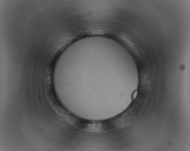 X0000090730362200708031528