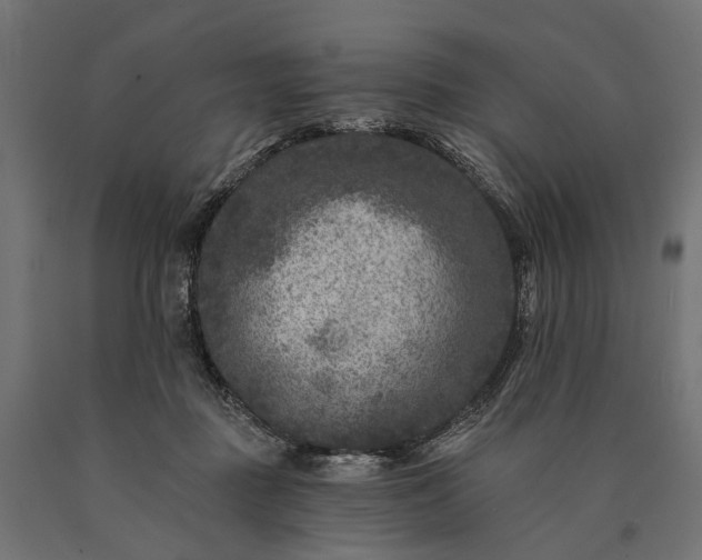 X0000090730363200708031529