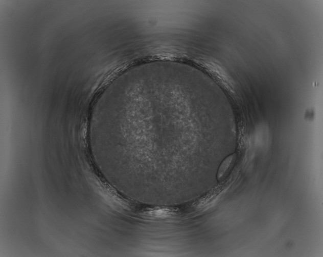 X0000090730365200708031529