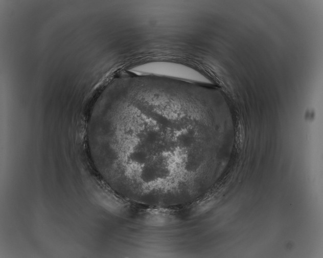 X0000090730367200708031529