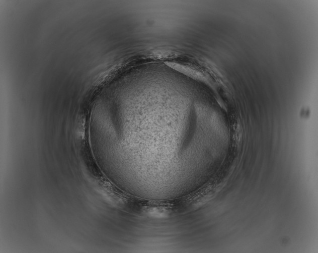 X0000090730368200708031529