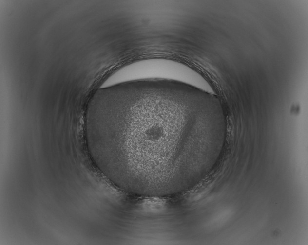 X0000090730369200708031529