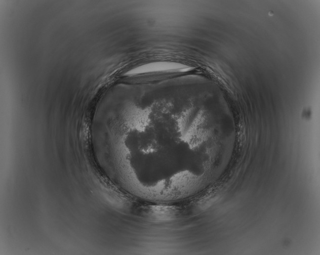 X0000090730371200708031529