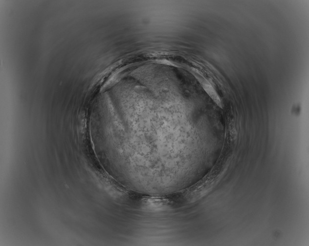 X0000090730372200708031529