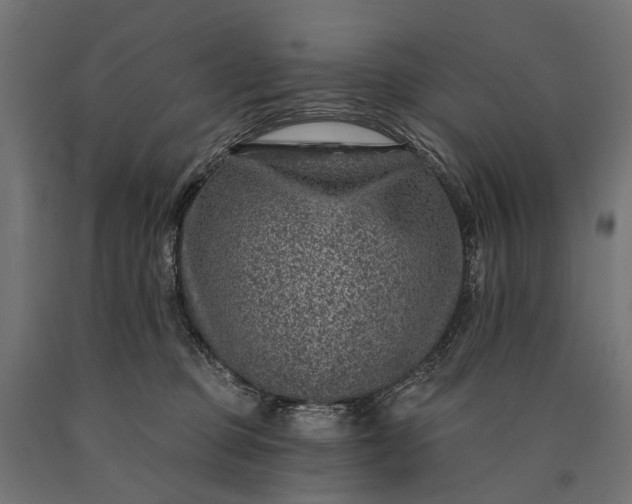 X0000090730373200708031529