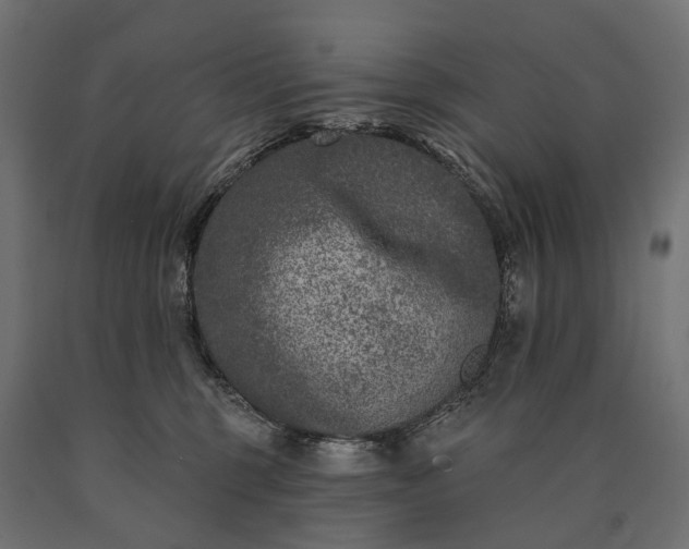 X0000090730375200708031529