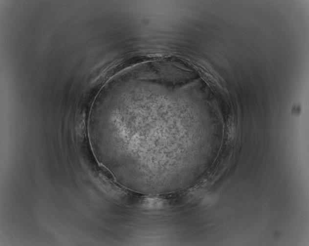 X0000090730376200708031529